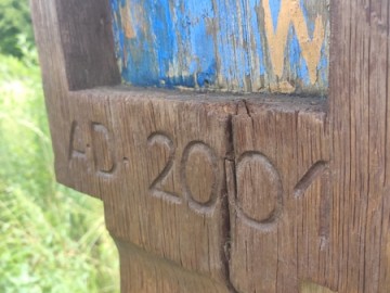 Letnie działania w Przedborskim Parku Krajobrazowym 2025, 